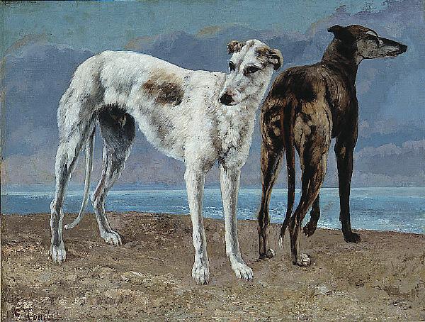 Gustave Courbet The Greyhounds of the Comte de Choiseul France oil painting art